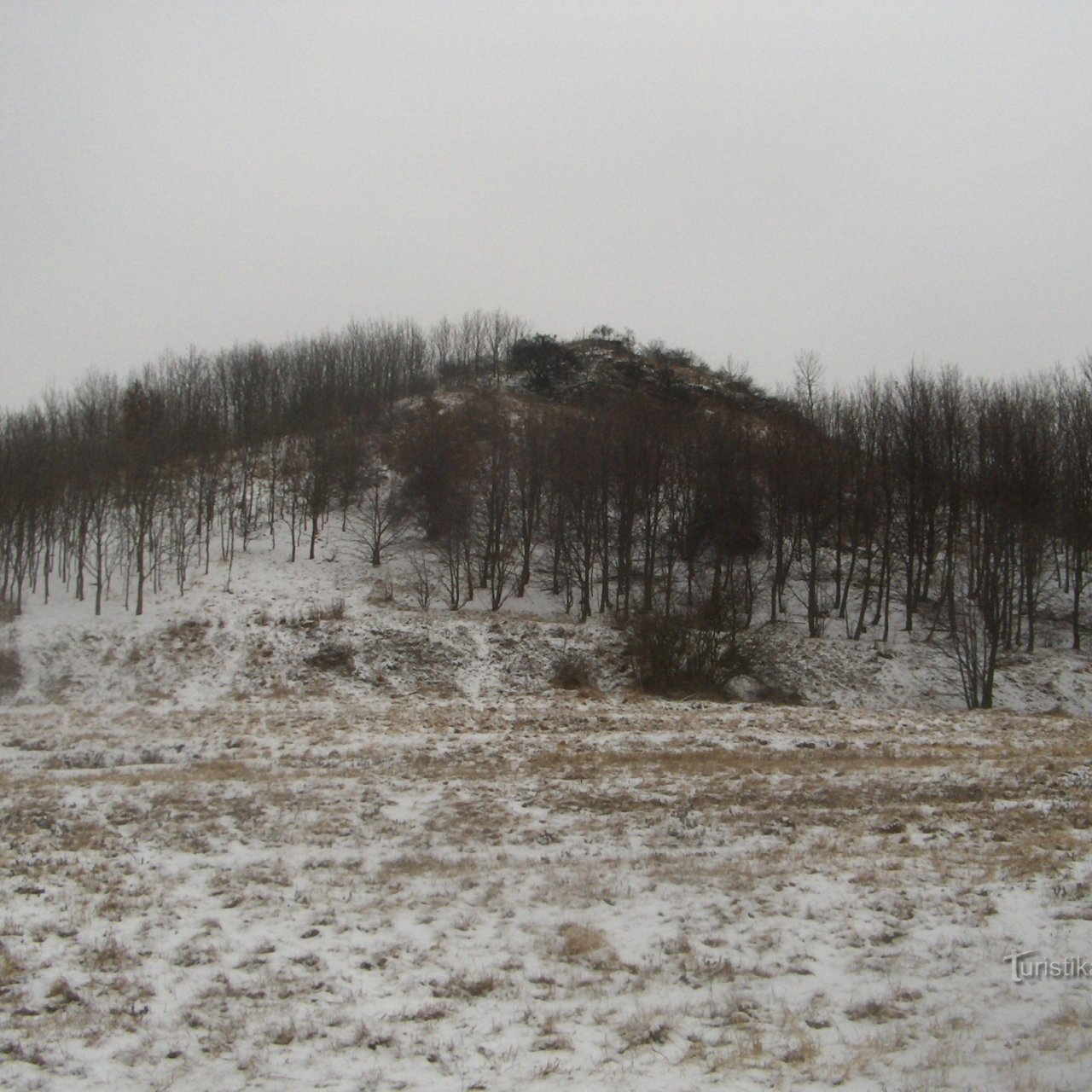 Skála