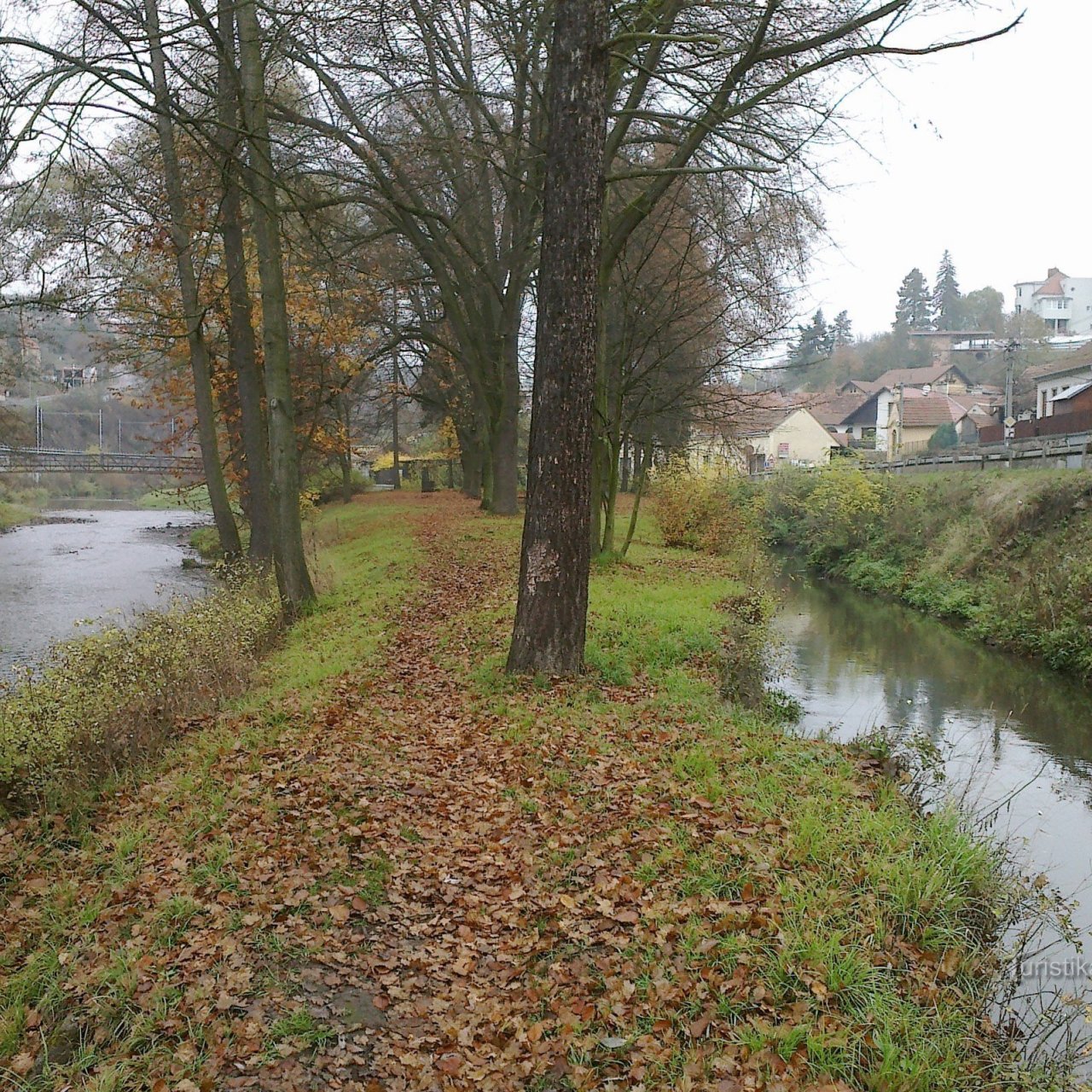 Ostrůvek v Bílovicích nad Svitavou