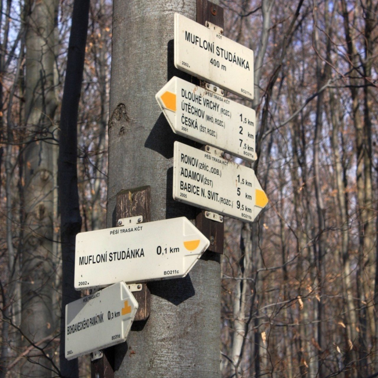 Turistické rozcestí Mufloní studánka