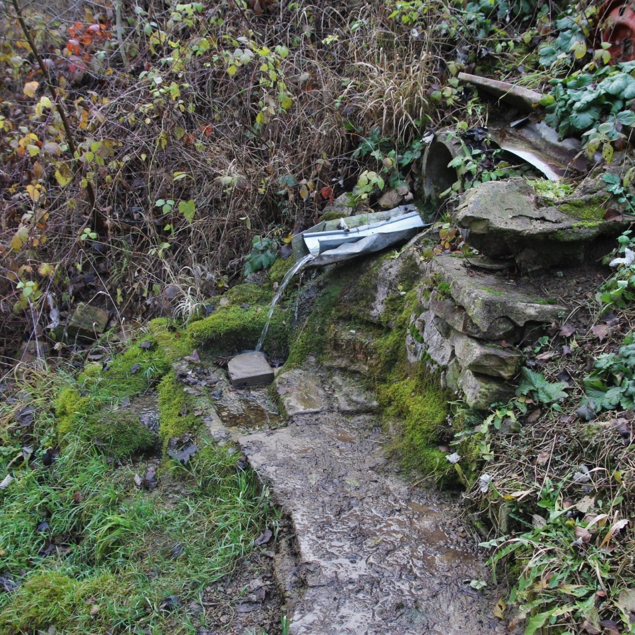 Bílovice nad Svitavou - studánka u hříště