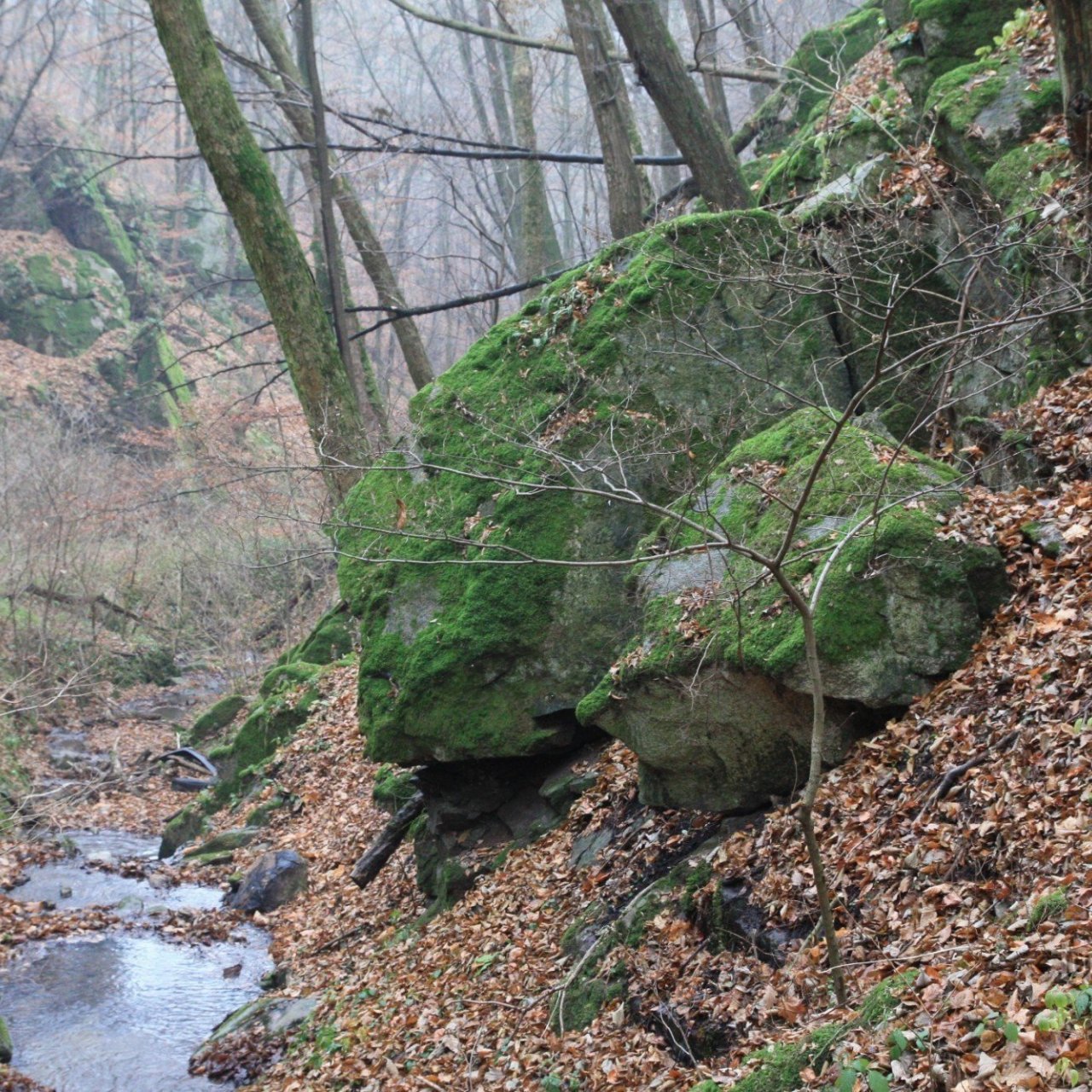 Malužín - přírodní rezervace