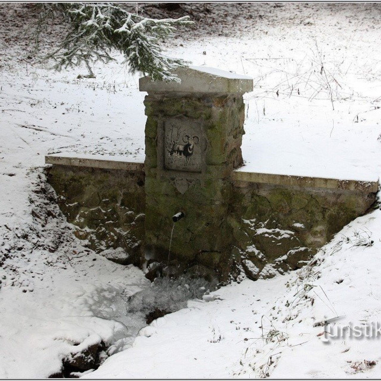 Mufloní studánka