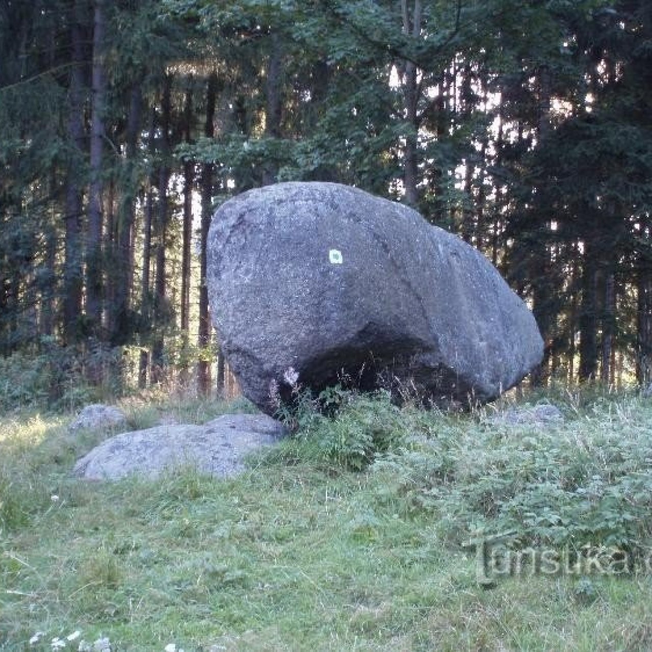 Dominik