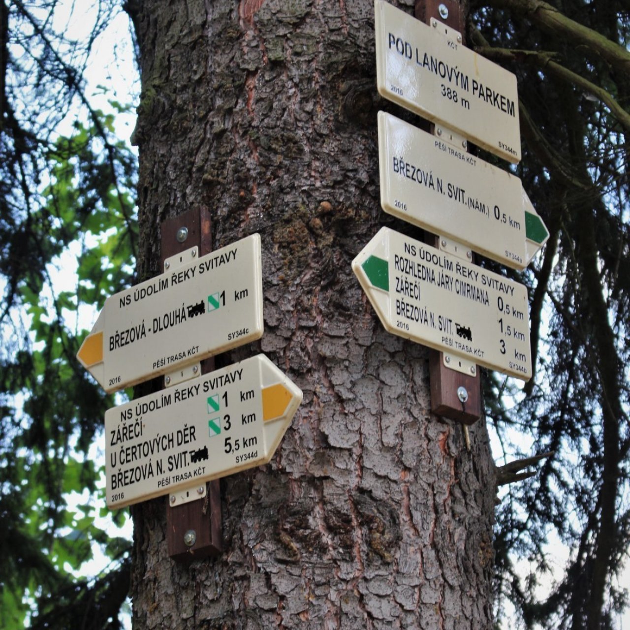 Turistické rozcestí Pod lanovým parkem