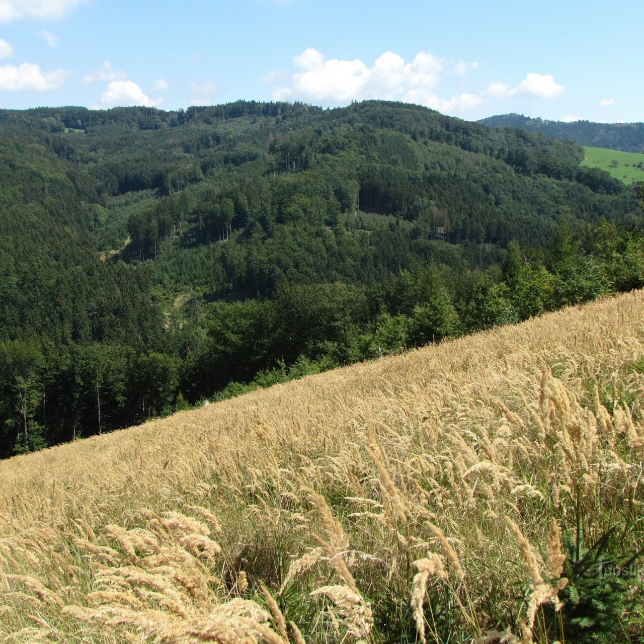 O žluté trase z Rusavy na hrad Křídlo