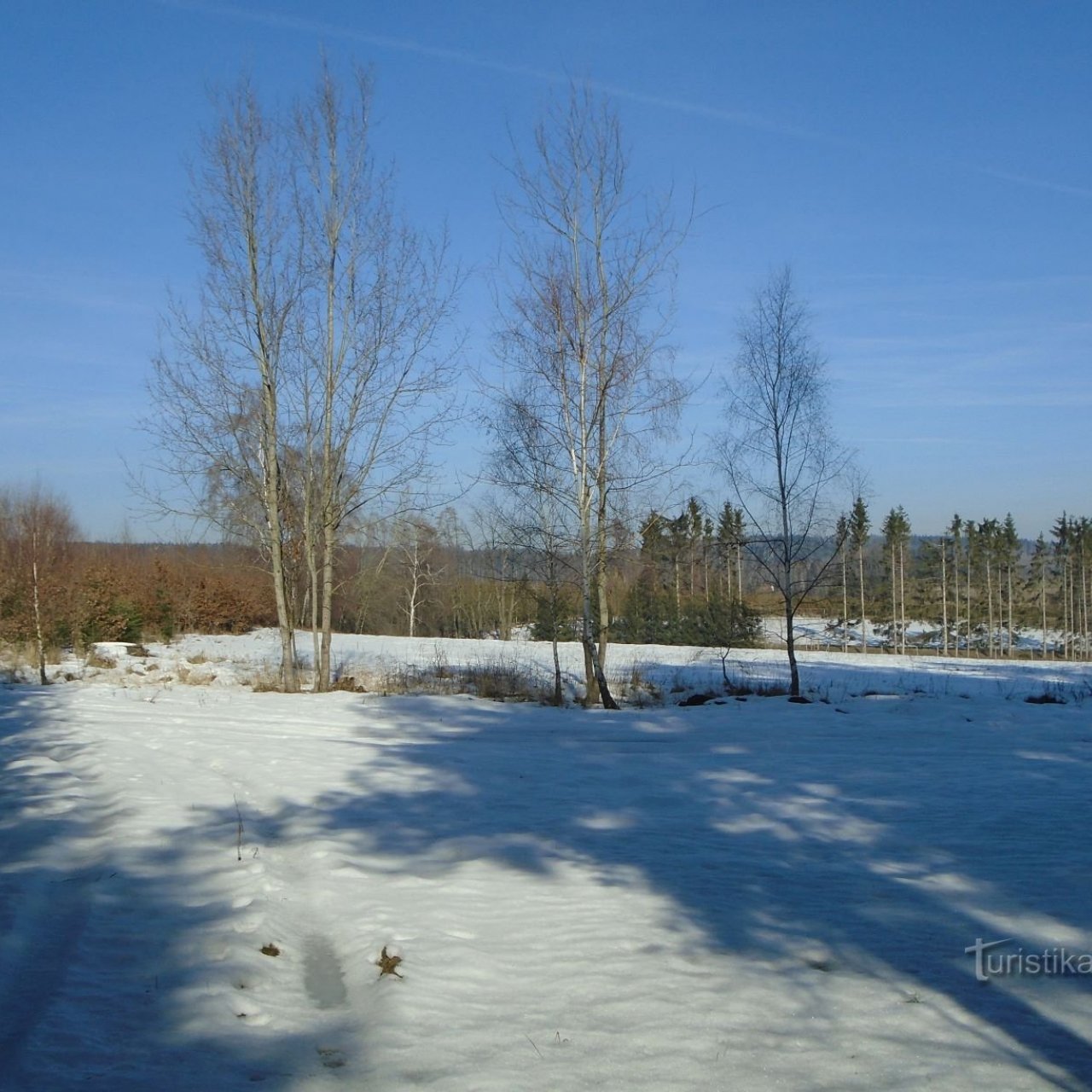 Jiviny