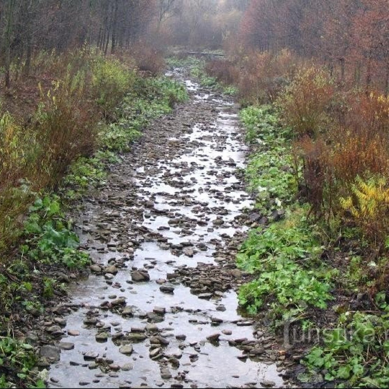 Kopytná