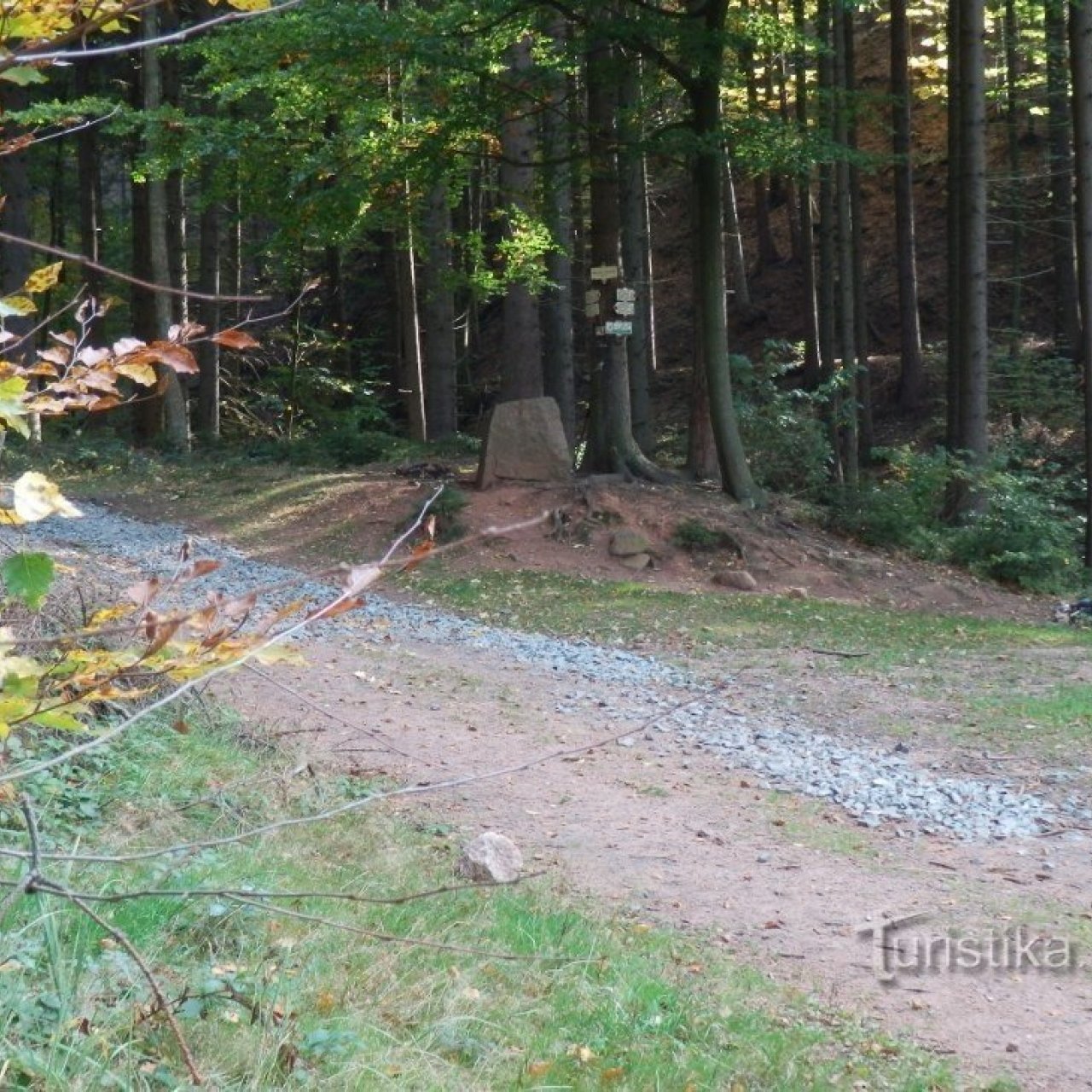 Holubí palouk v Údolí Olešenky