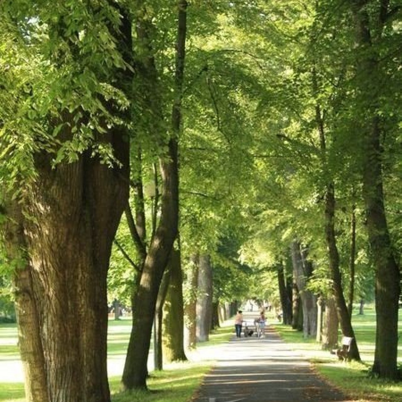 Choceň - zámecký park