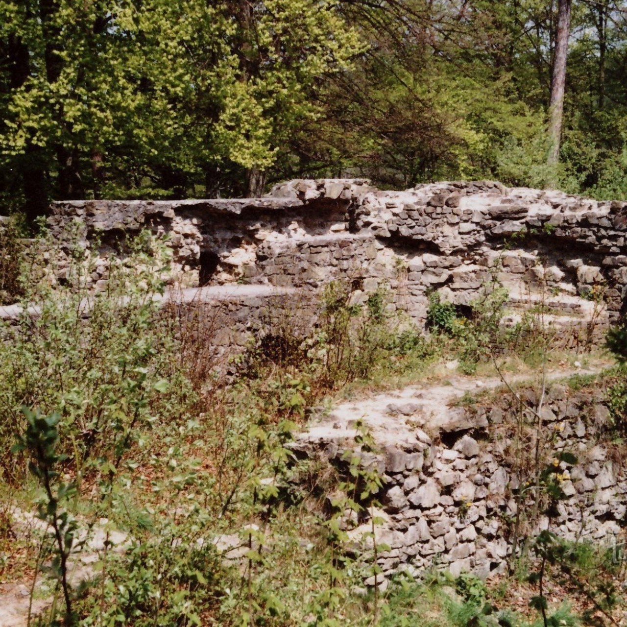 Dolany – kartouza Vallis Josaphat (klášter)