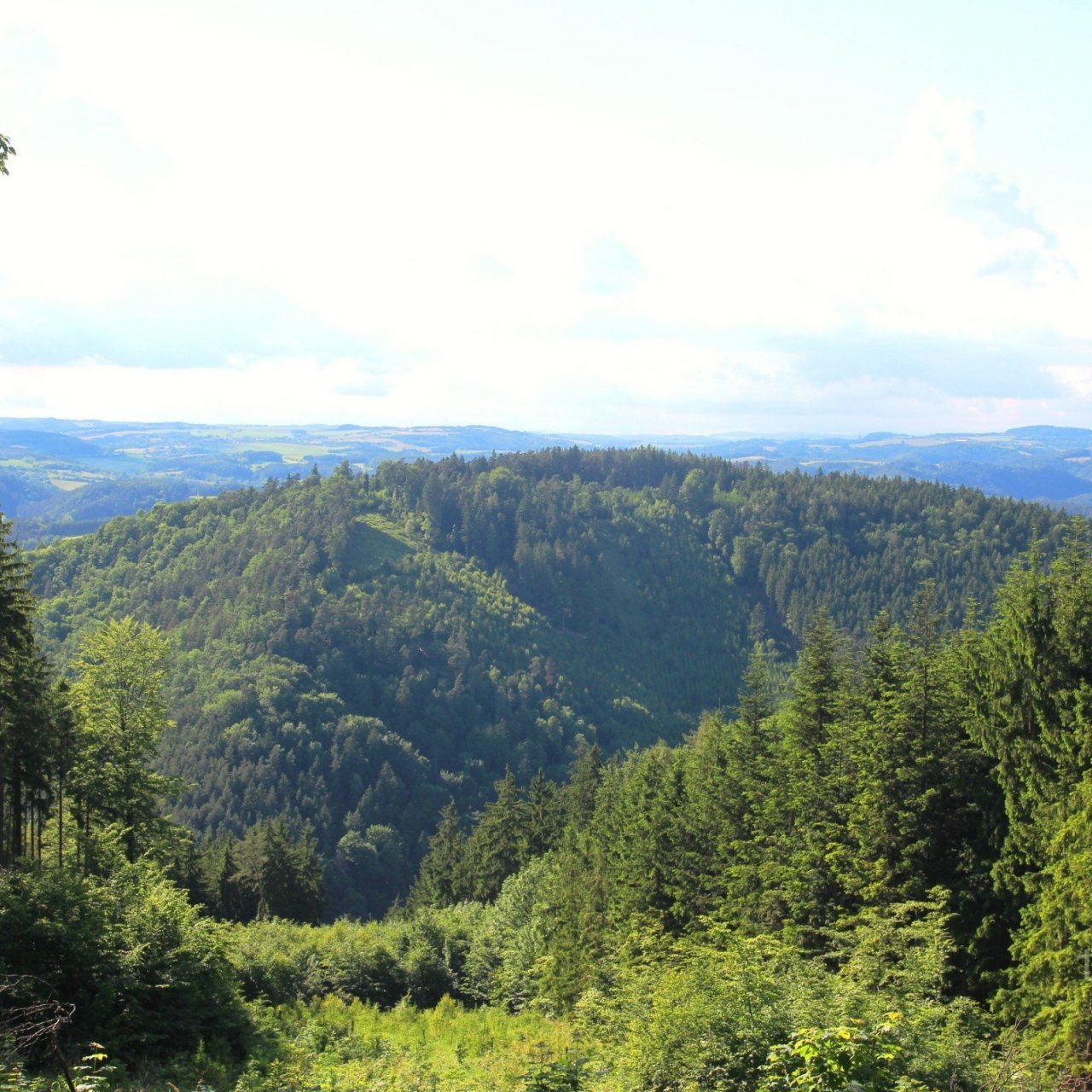 Mírová (468 m)