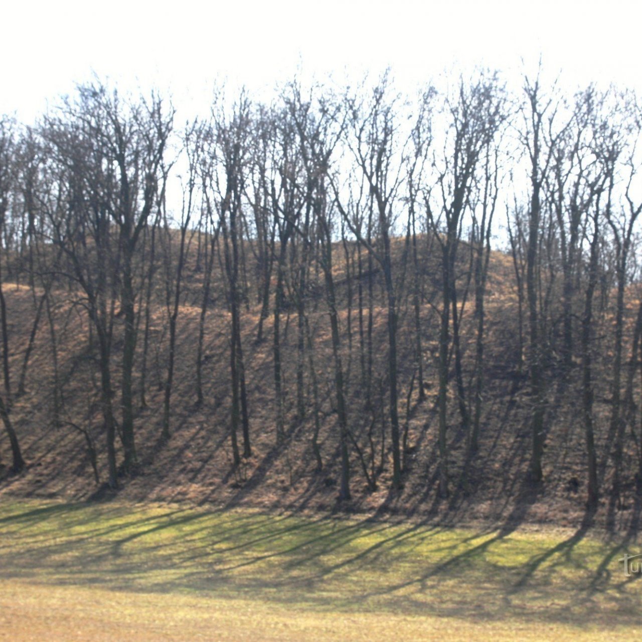 Hrádek u Drnholce