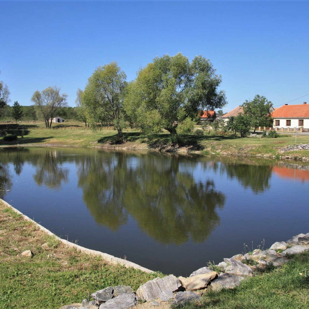Havraníky - rybník