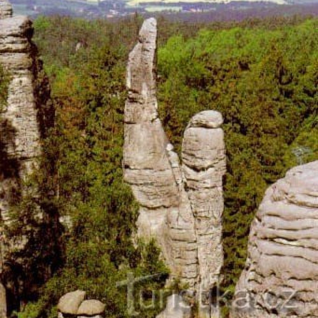 Prachovské skály