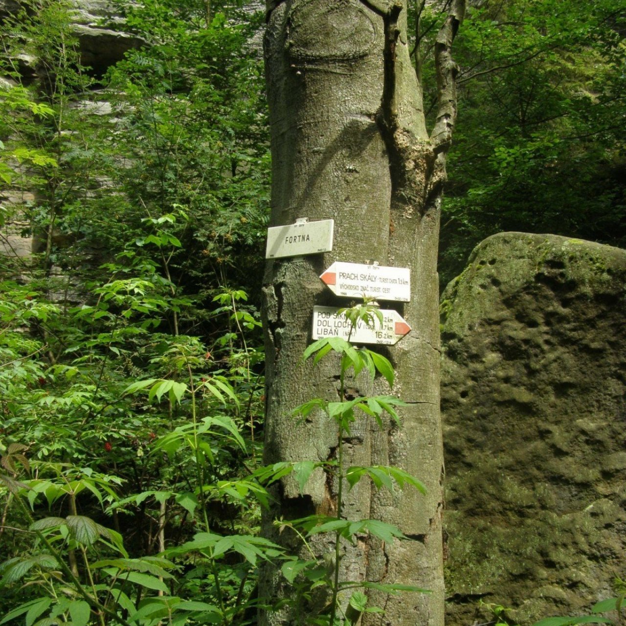 Prachovské skály - Fortna