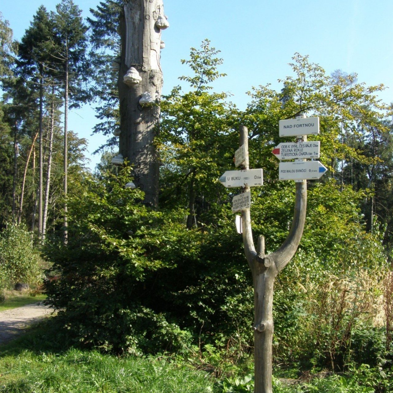 Prachovské skály - rozcestí Nad Fortnou