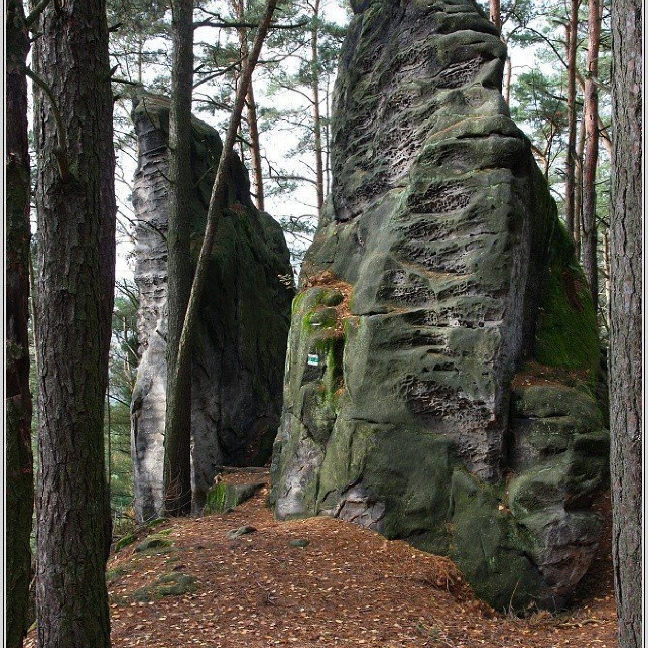 Přivýšina u Prachovských skal