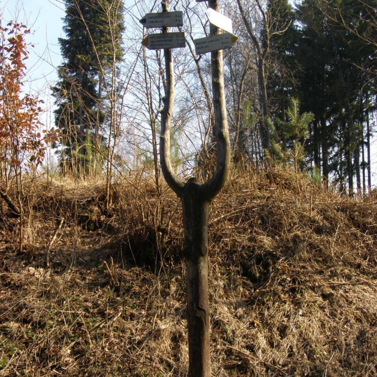 Prachovské skály - rozcestí u hotelu Skalní město