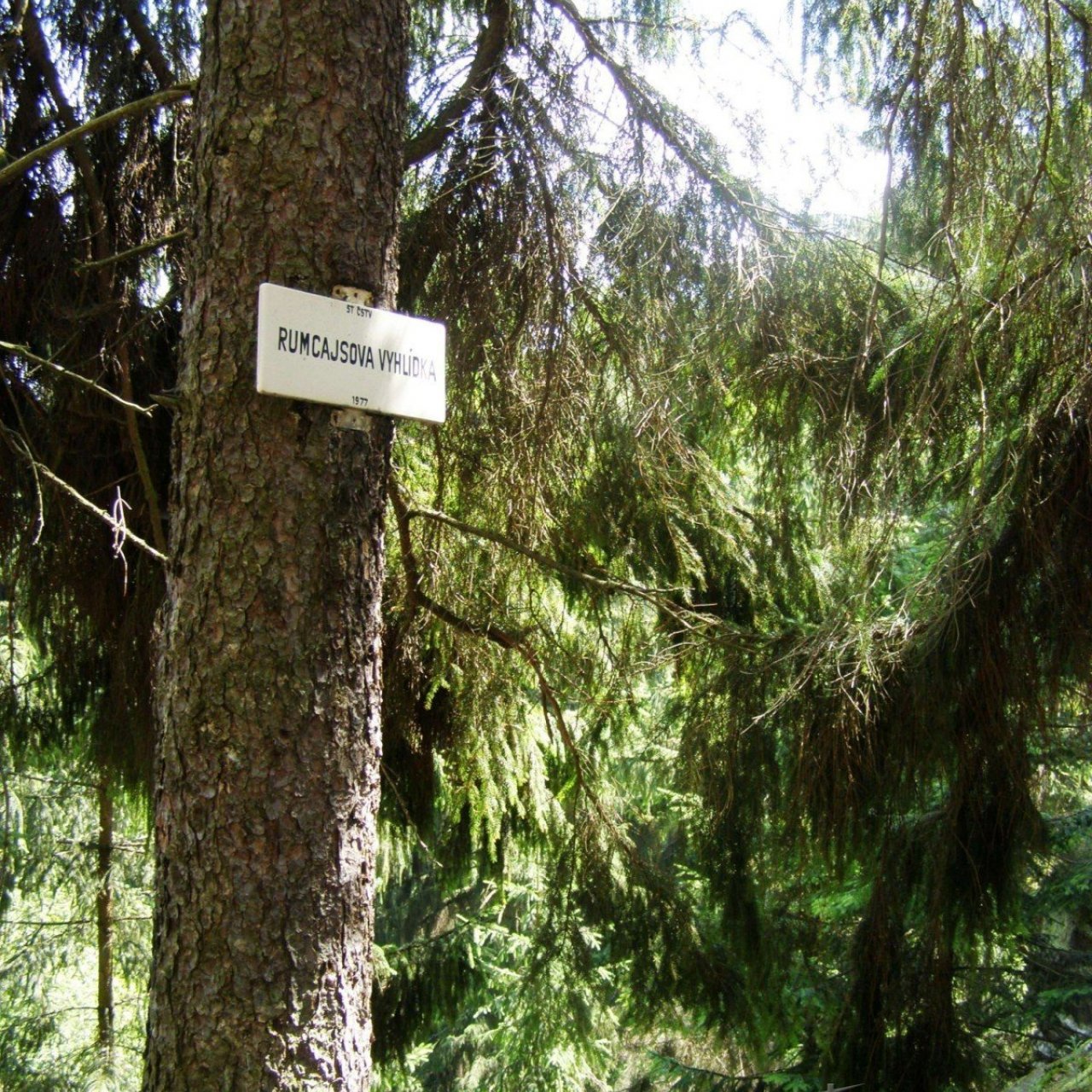 Prachovské skály - Rumcajsova vyhlídka