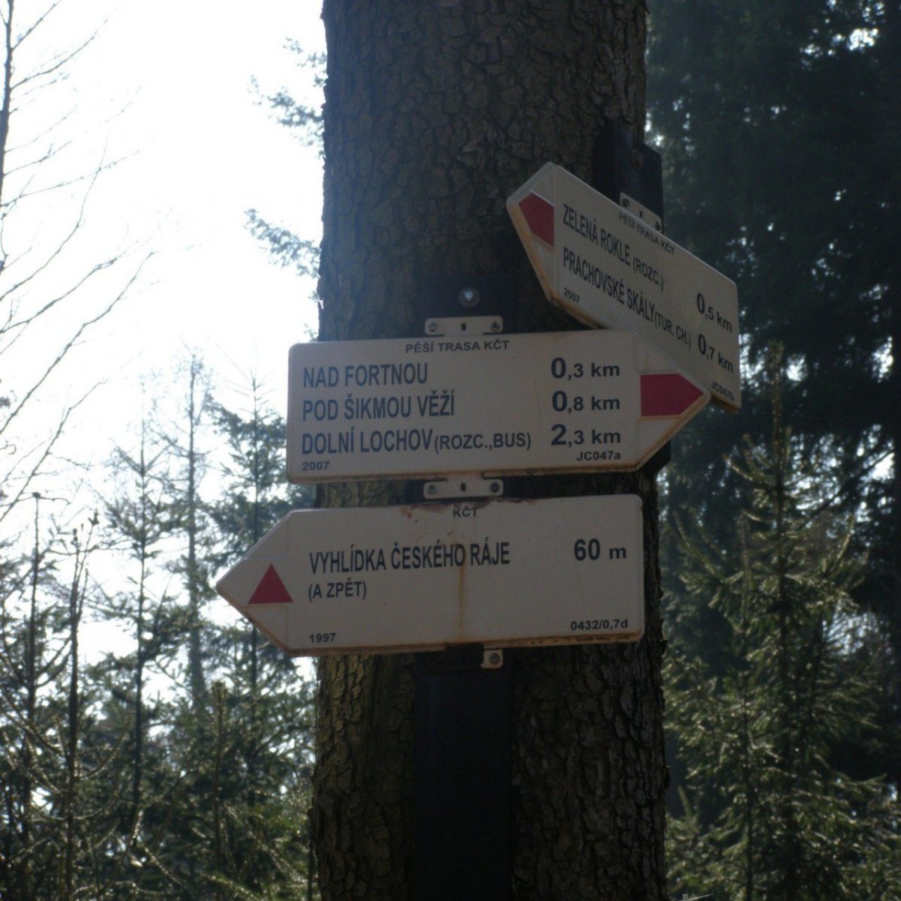 Prachovské skály - rozcestí nad Zelenou roklí