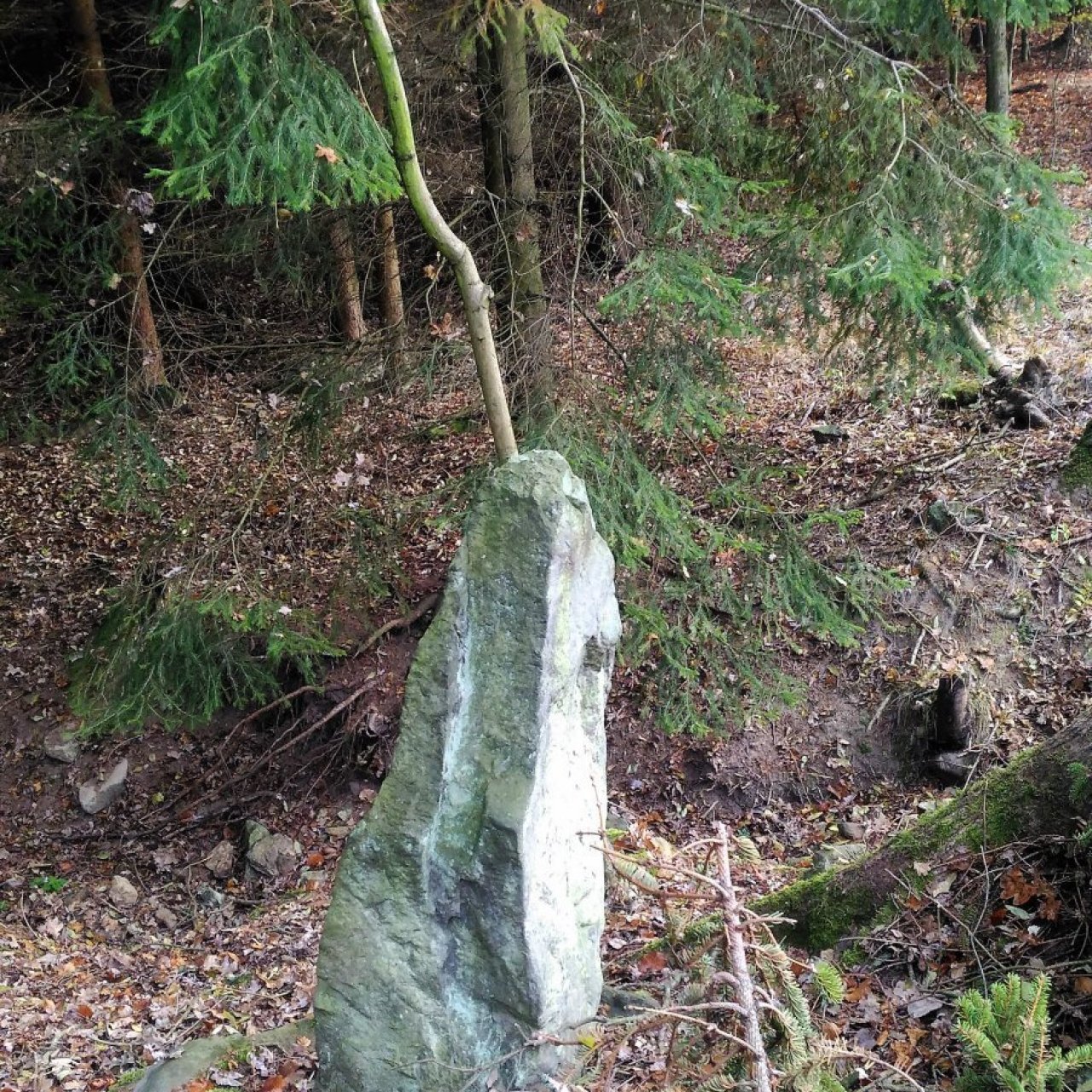 Jevínský kámen a menhir.