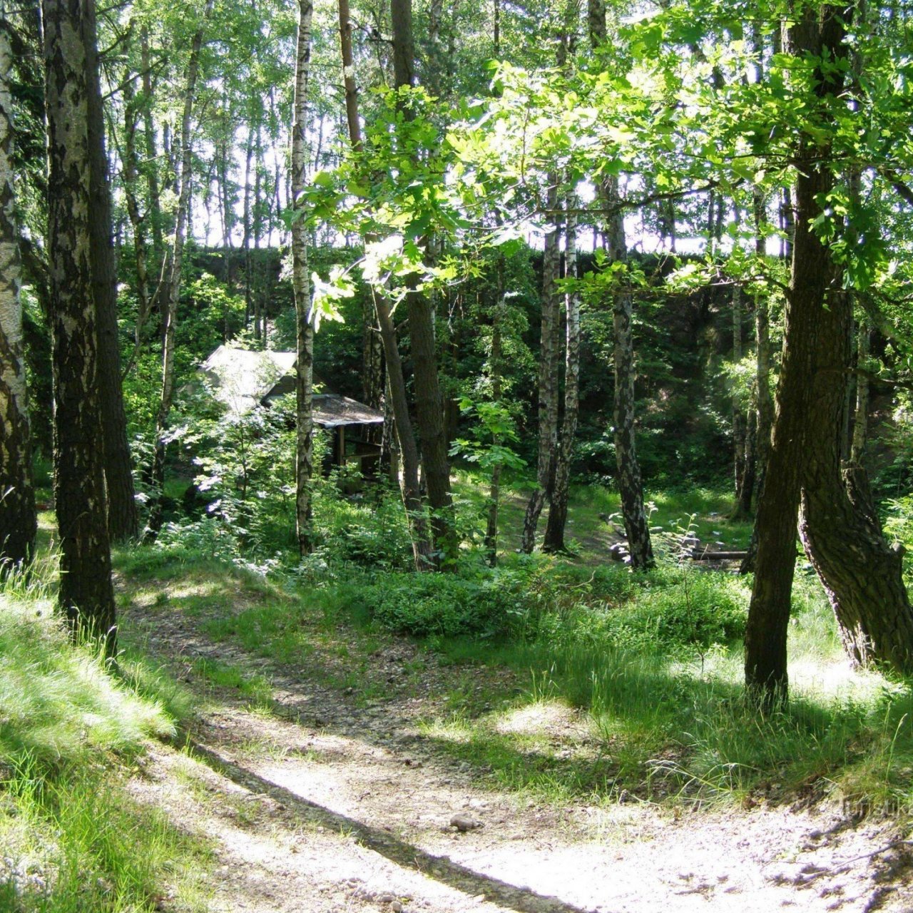 Rozsívačova skála