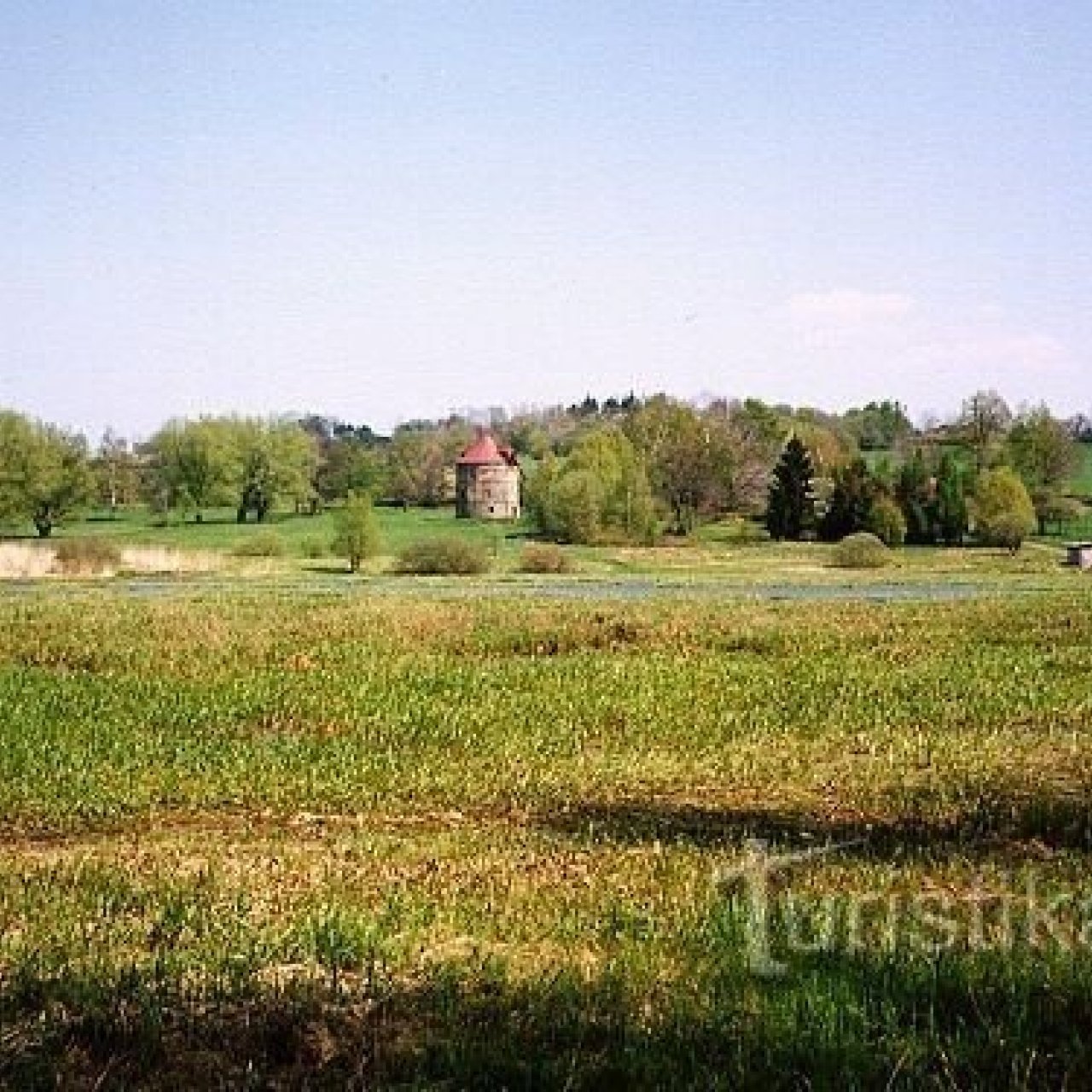 Světlík