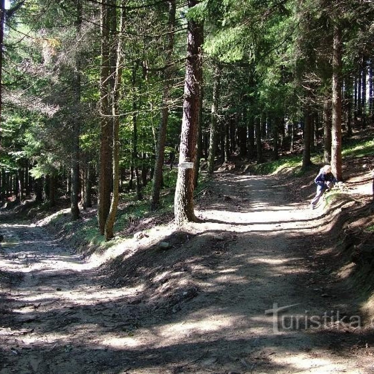 Rozcestník Polana