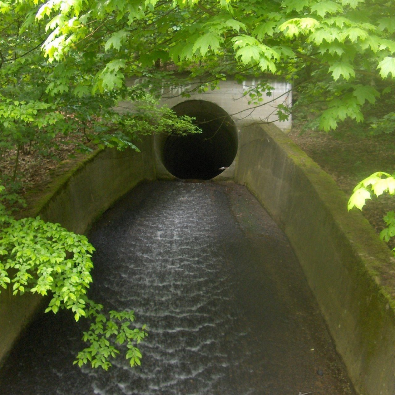 Albrechtická štola a štola Jezeří.