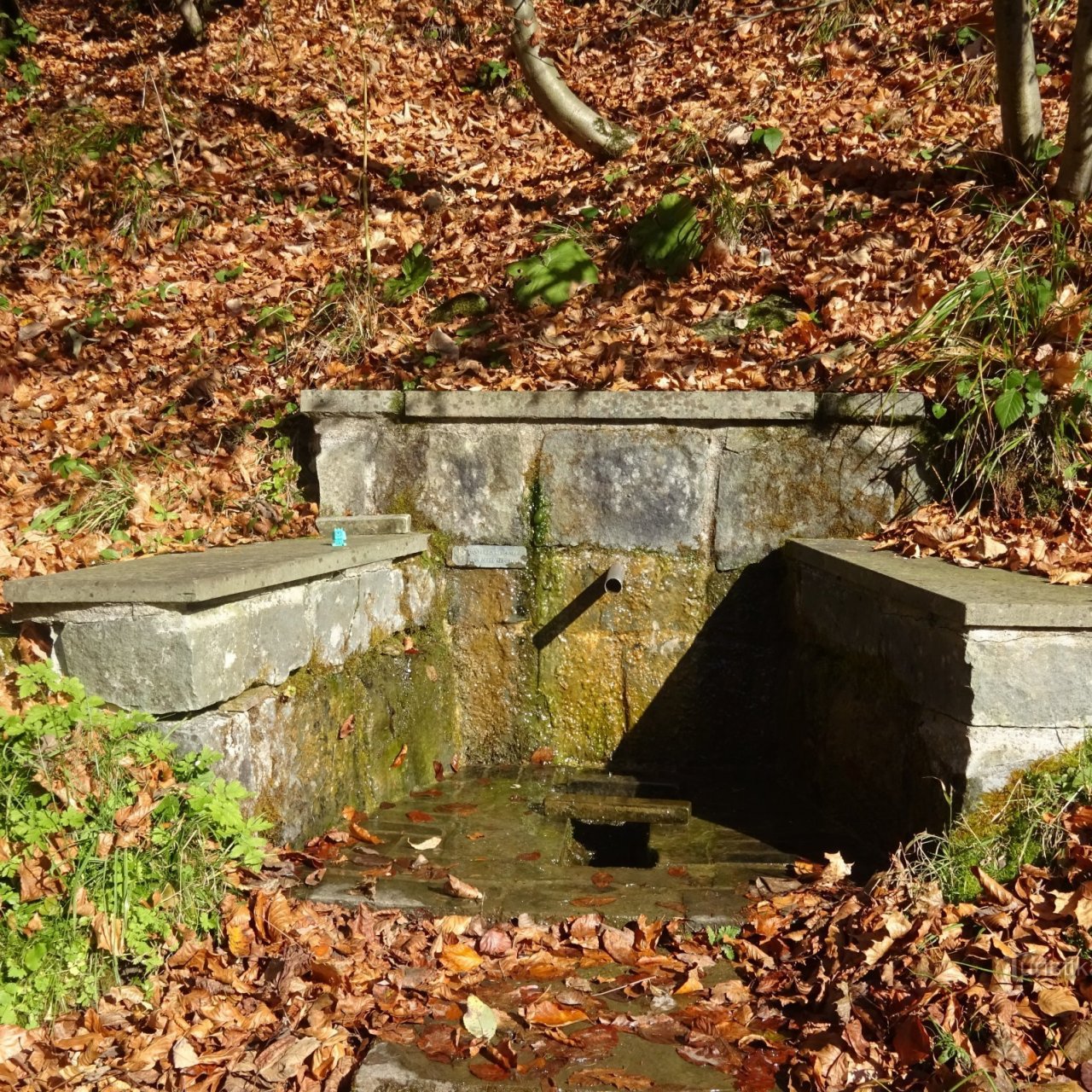 Horní Lomná - studánka na Přelači