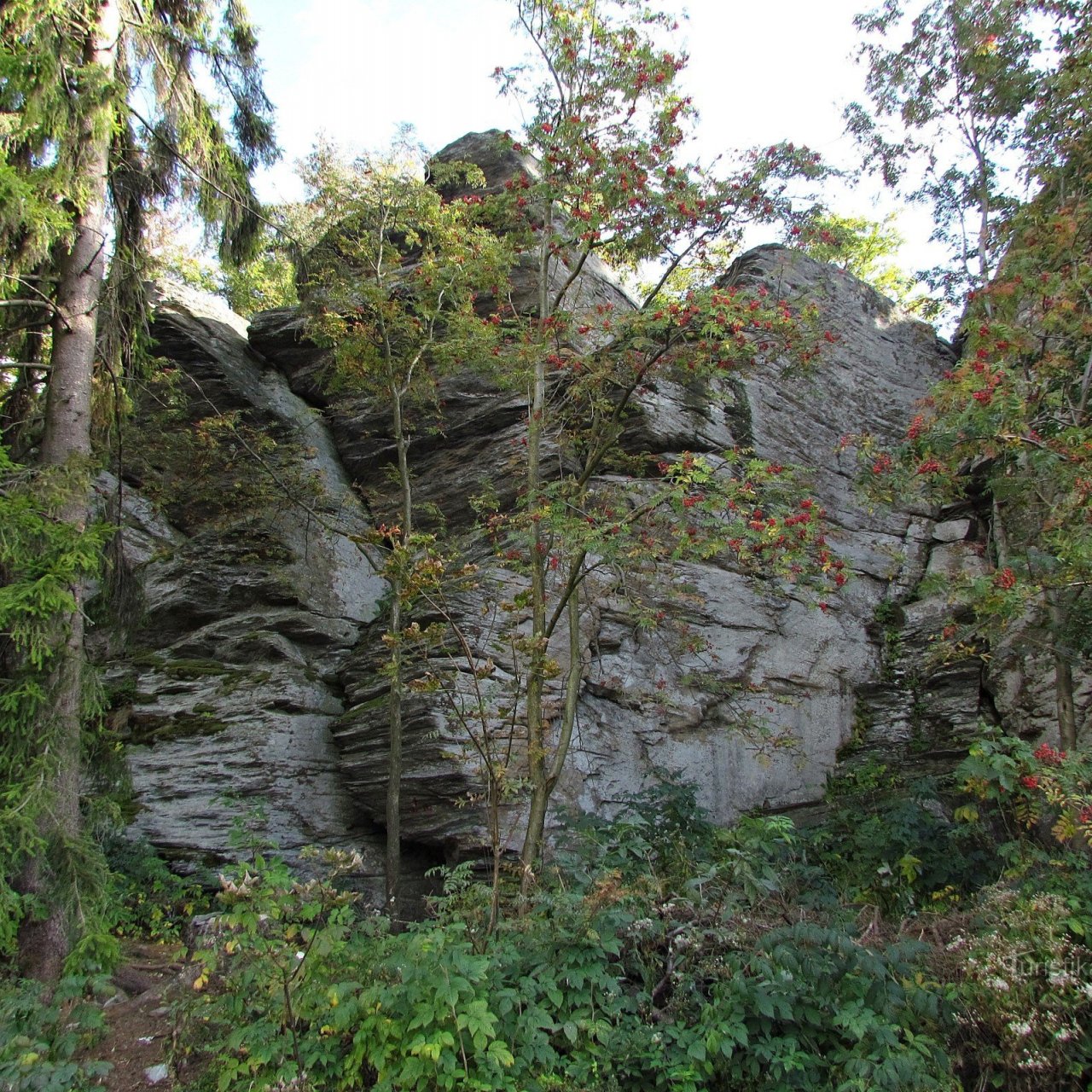 Skály u Dobřečova