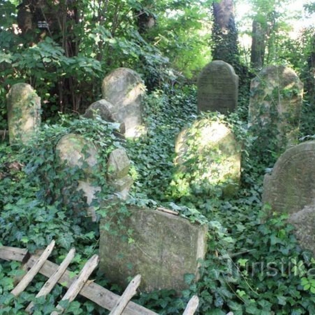 Jevíčko - židovský hřbitov