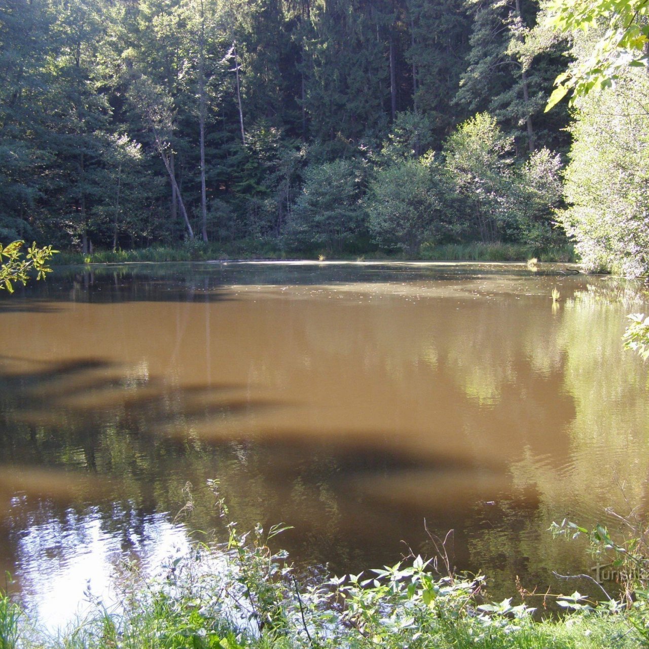 Smíchousův rybník