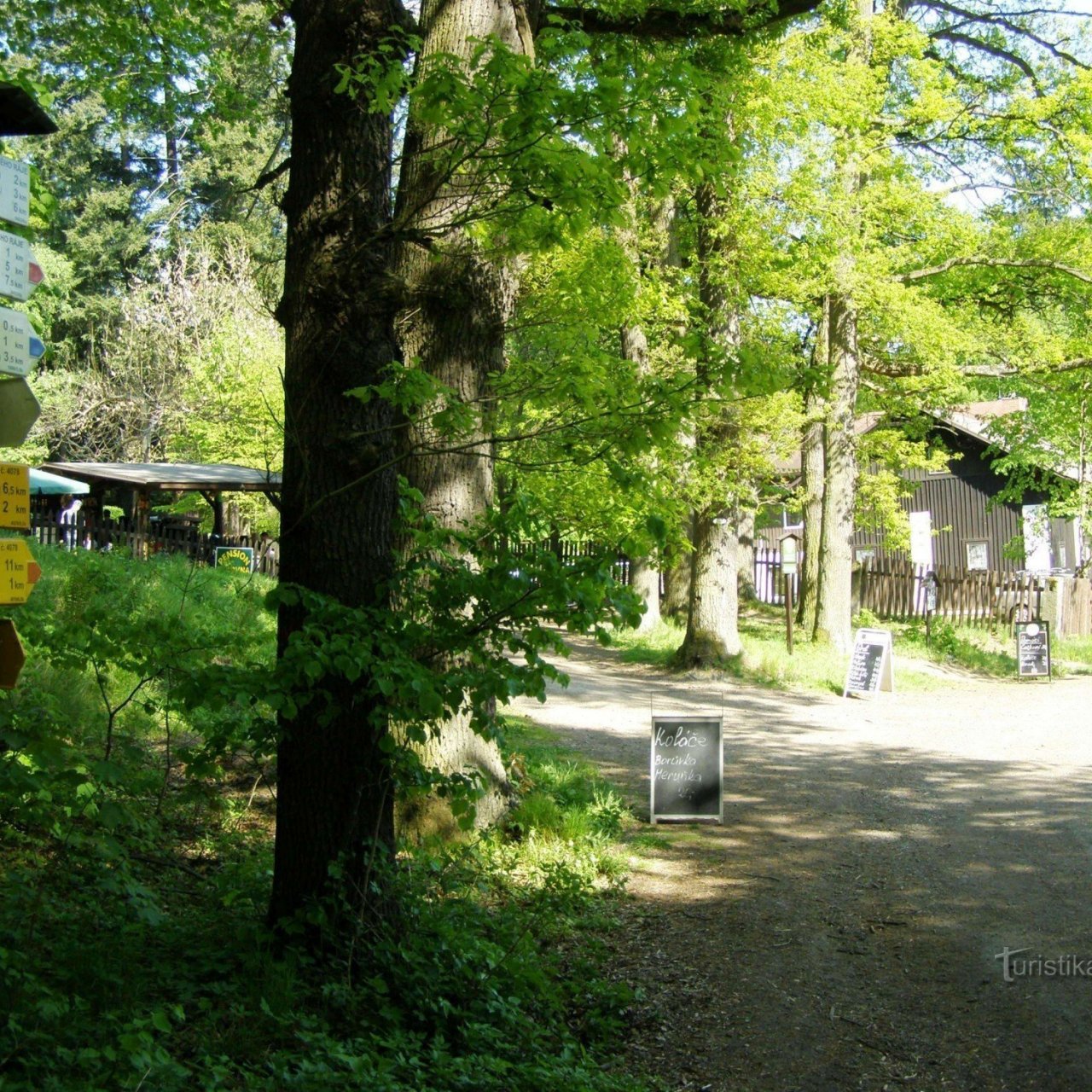turistické rozcestí u Arboreta Bukovina
