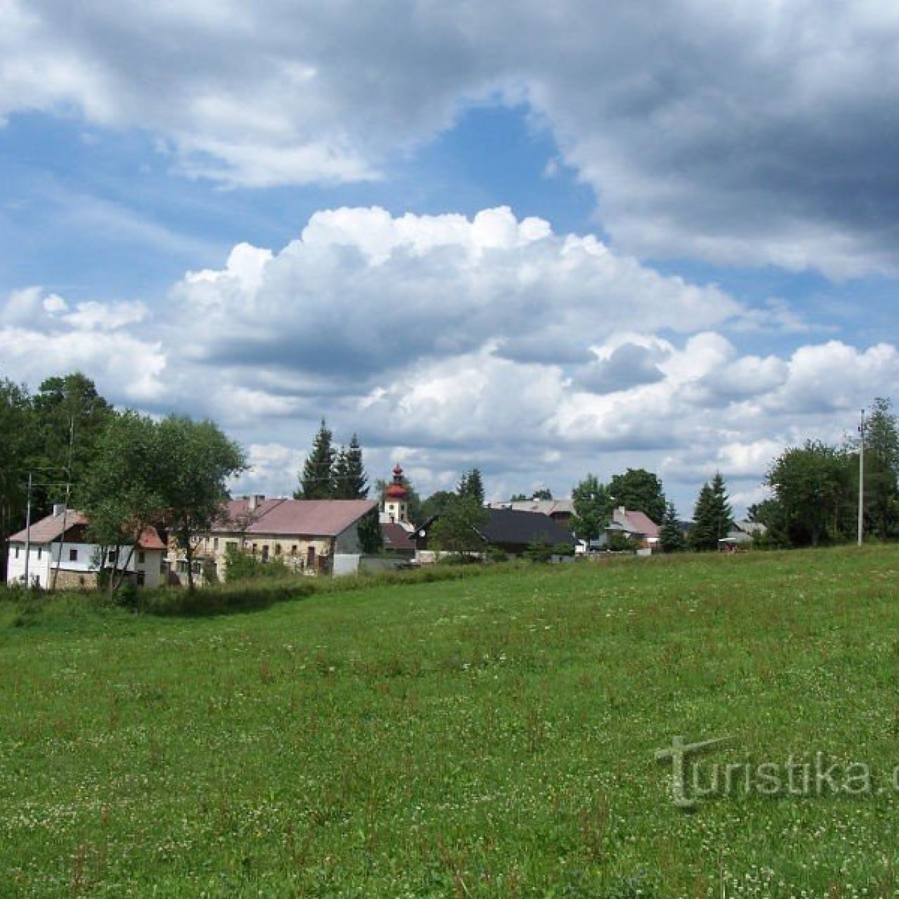 Červená