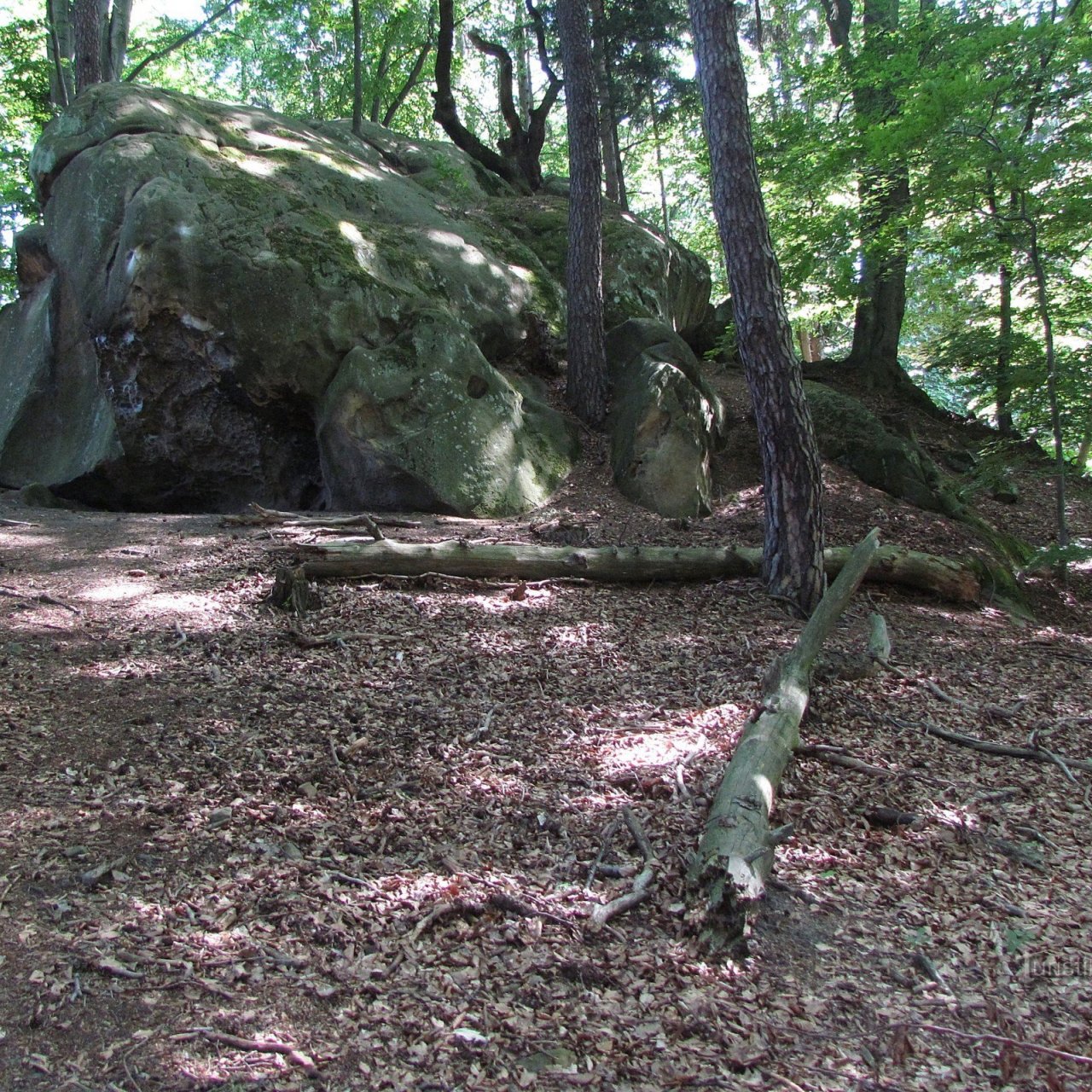Chřiby - Pečínkova skála