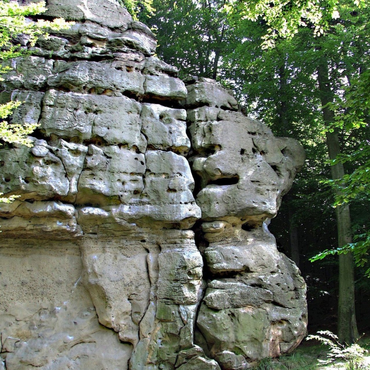 Chřiby - skalní věž Kozel