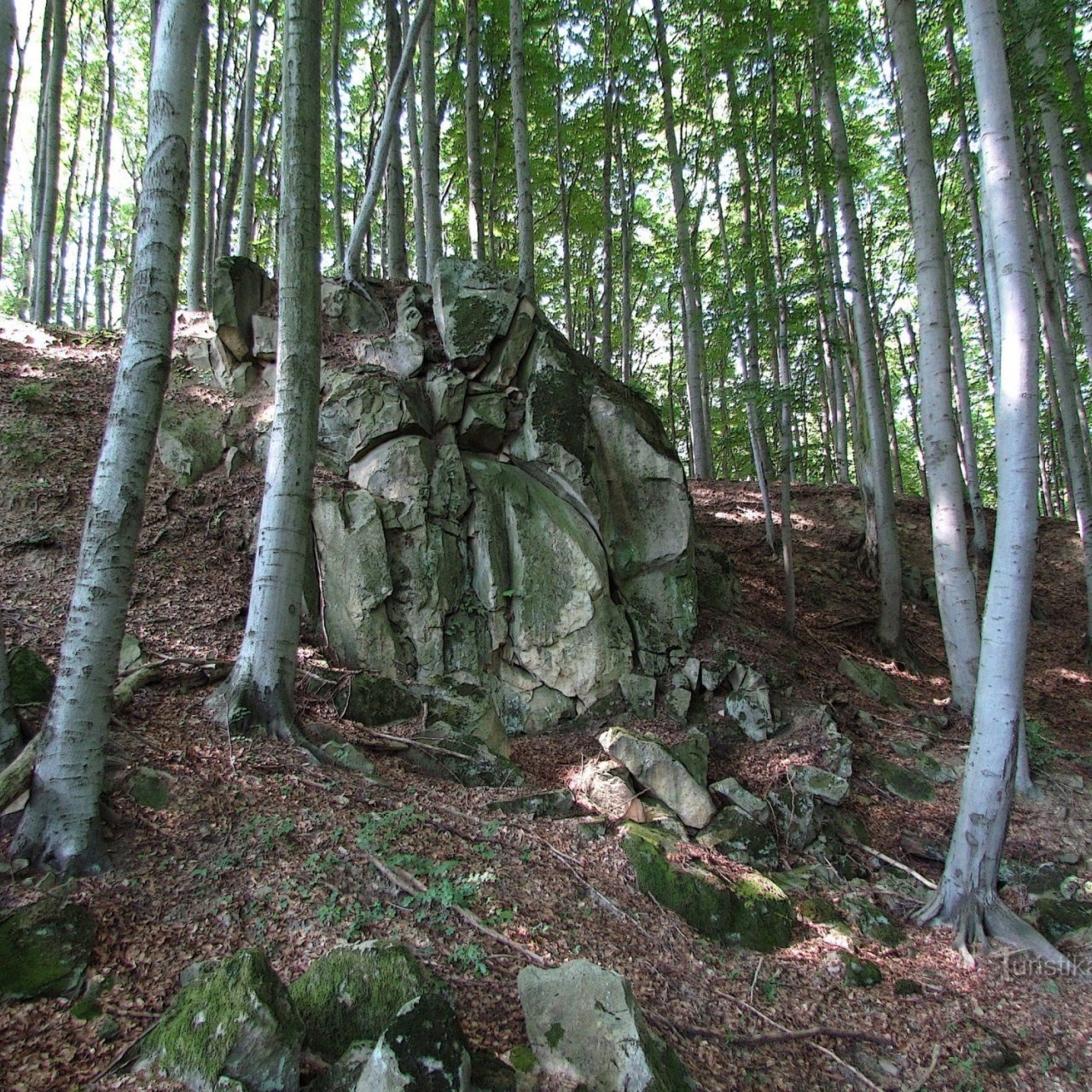 Chřiby - Bezejmenná skála