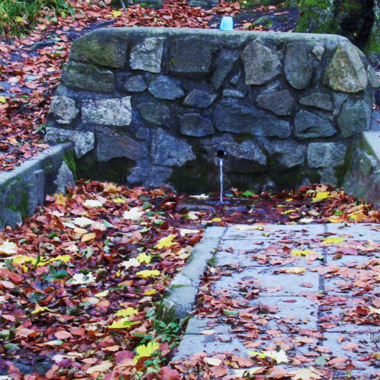 Studánka U Mísy v lesích vrchoviny Chřiby