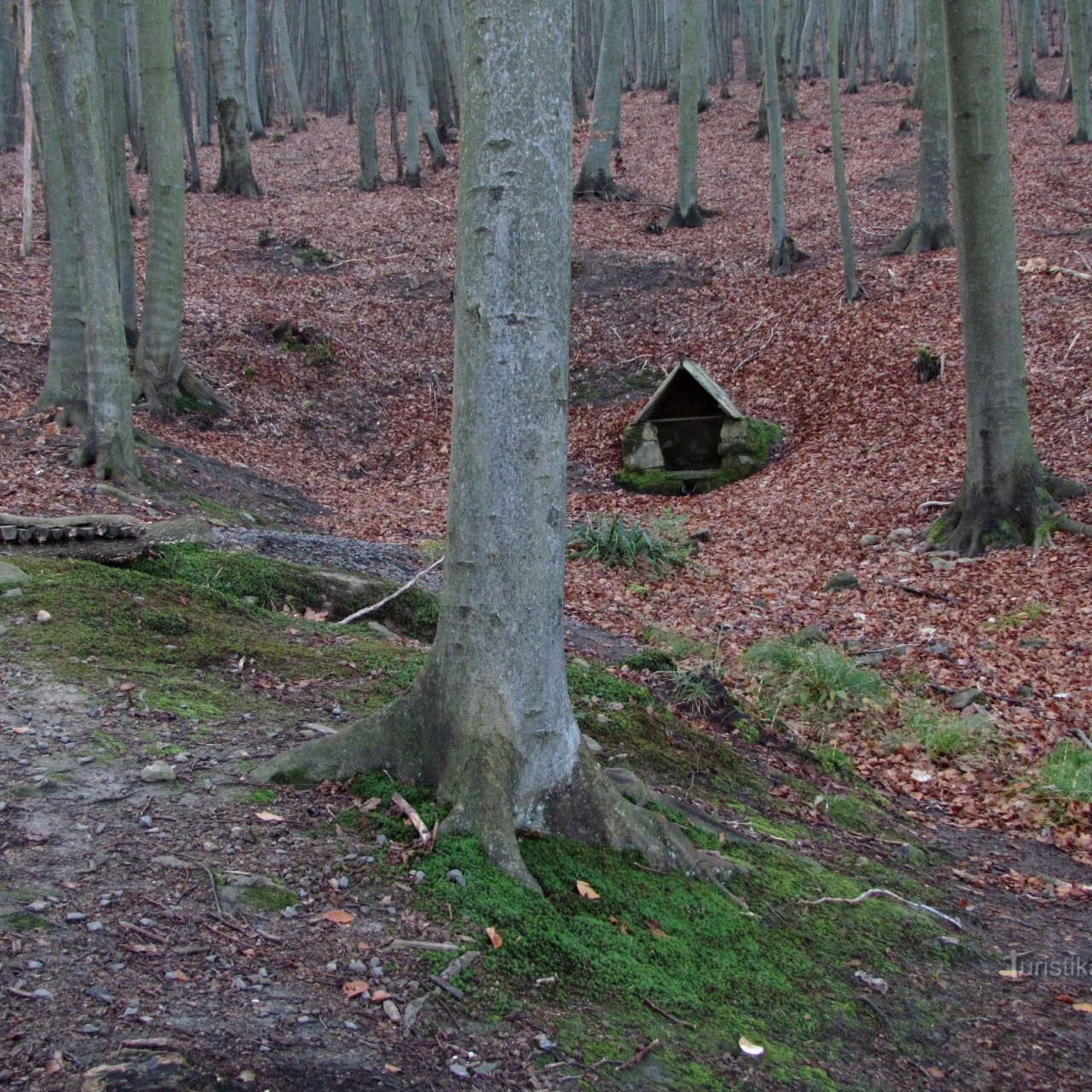 Chřiby - Steinbachova studánka