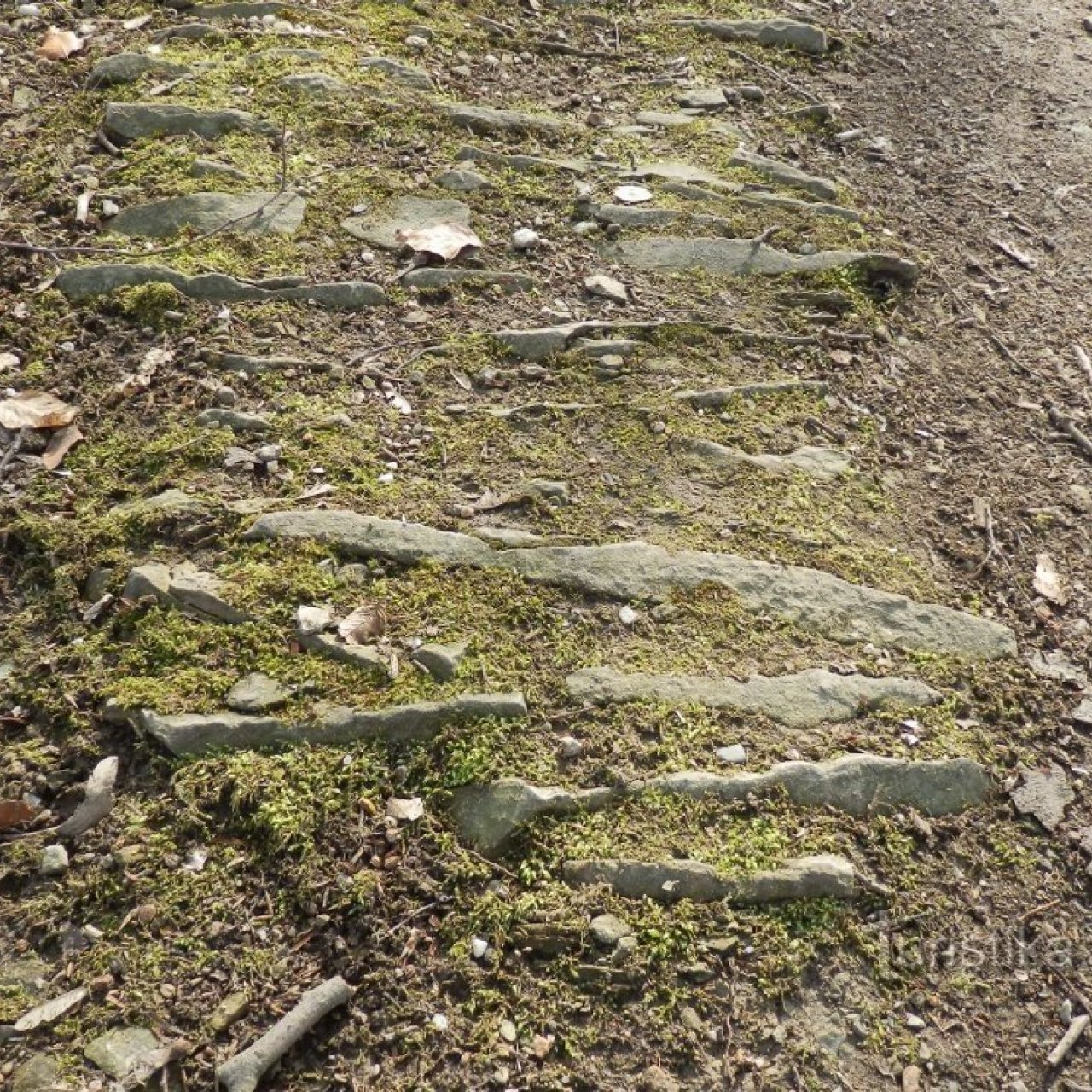 Kostelec nad Orlicí - stará štětová cesta