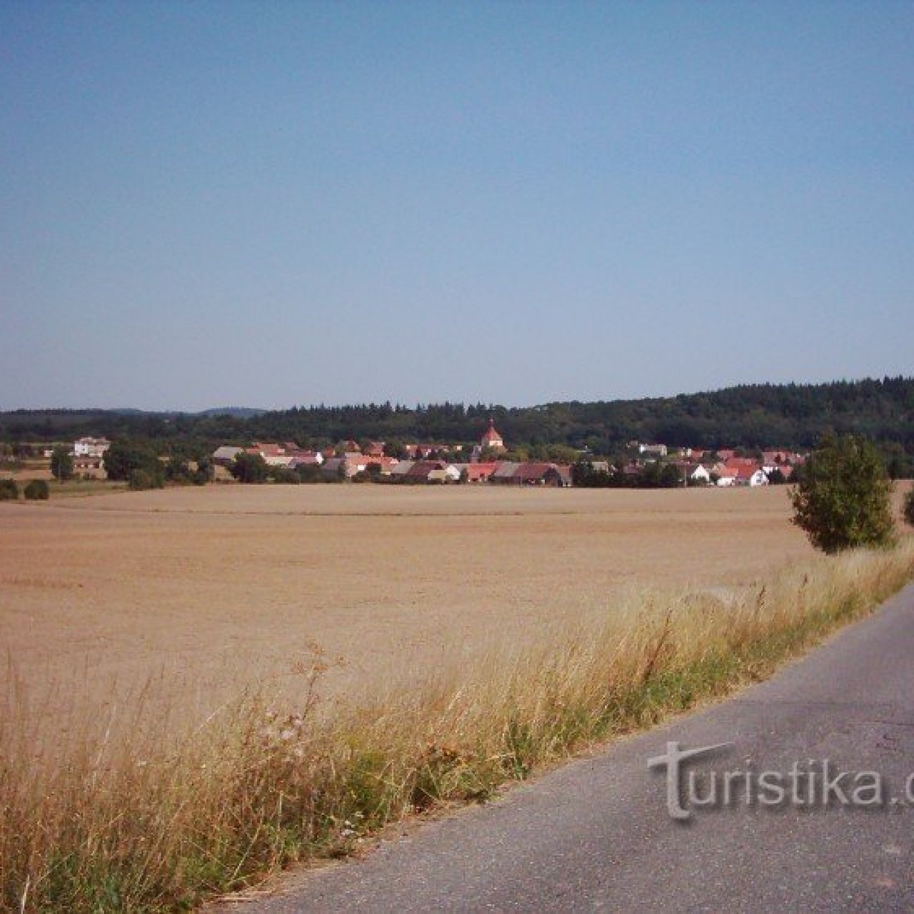 Stebno