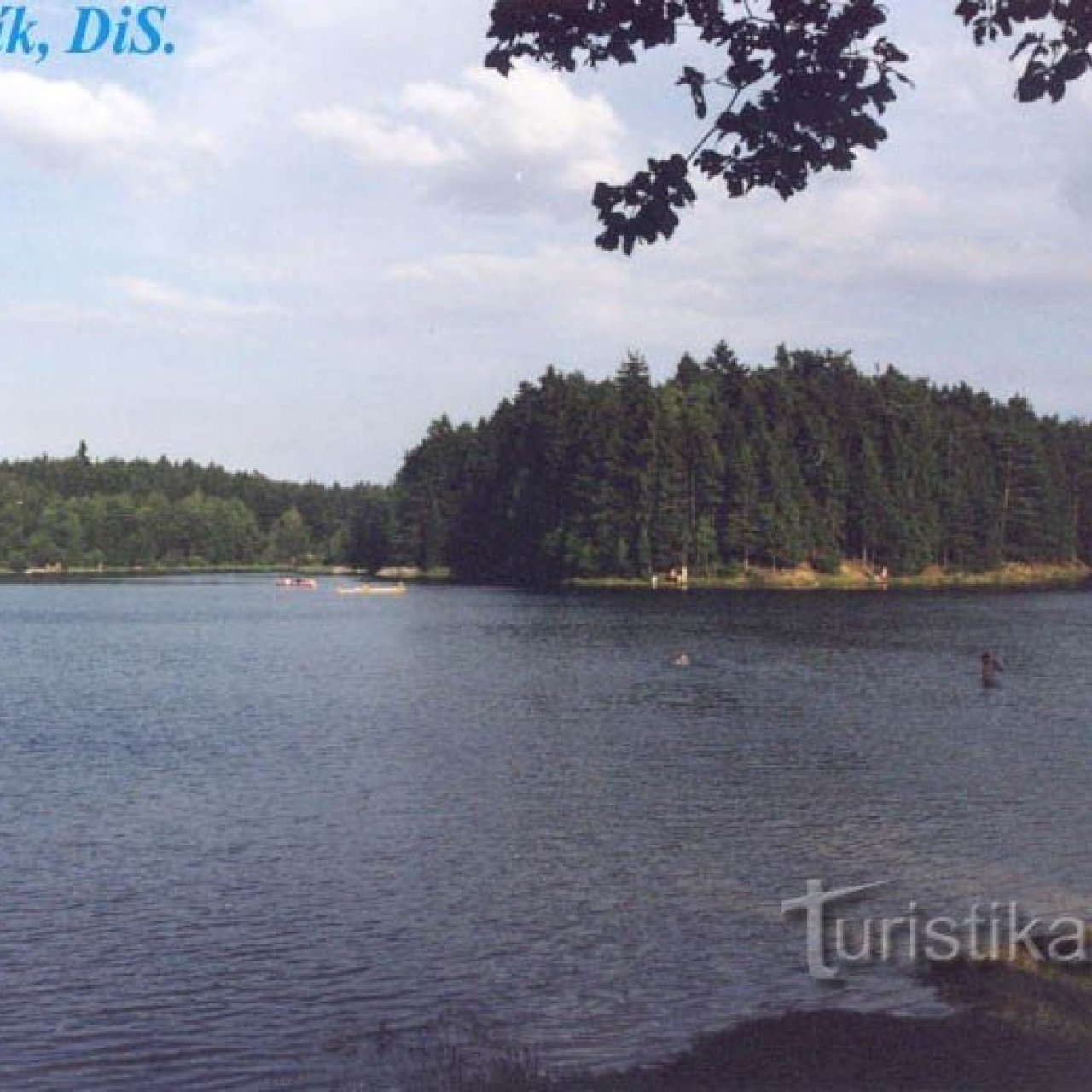 Zvůle
