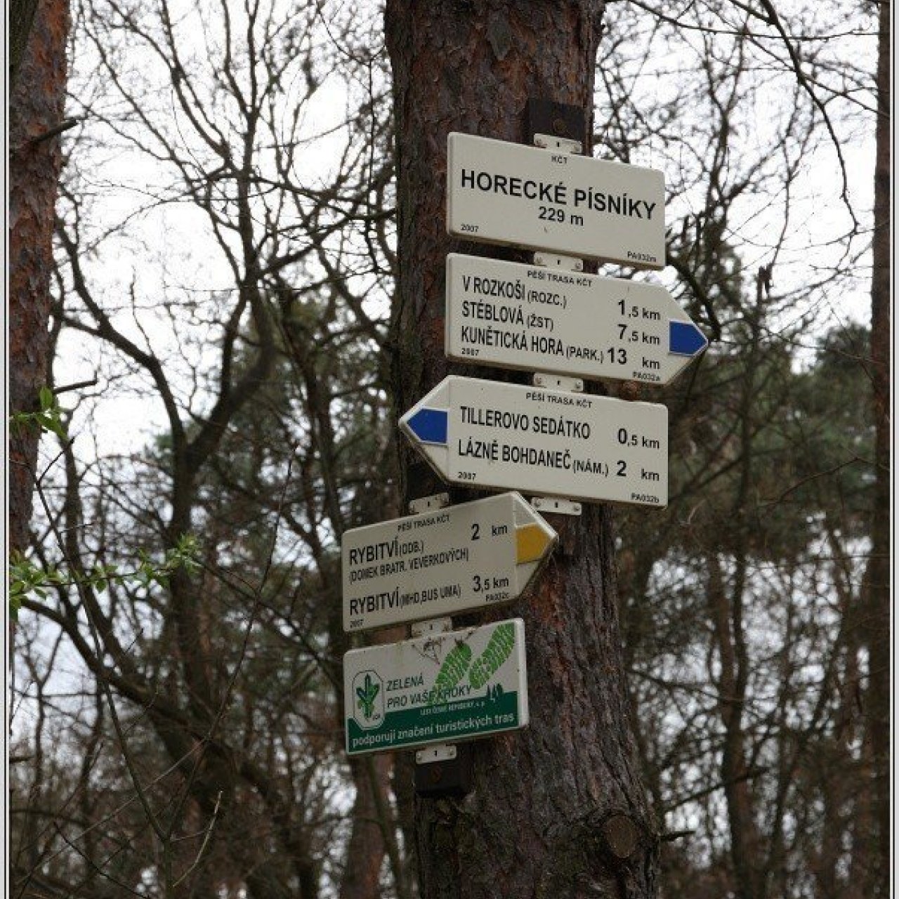 Turistické rozcestí Horecké písníky