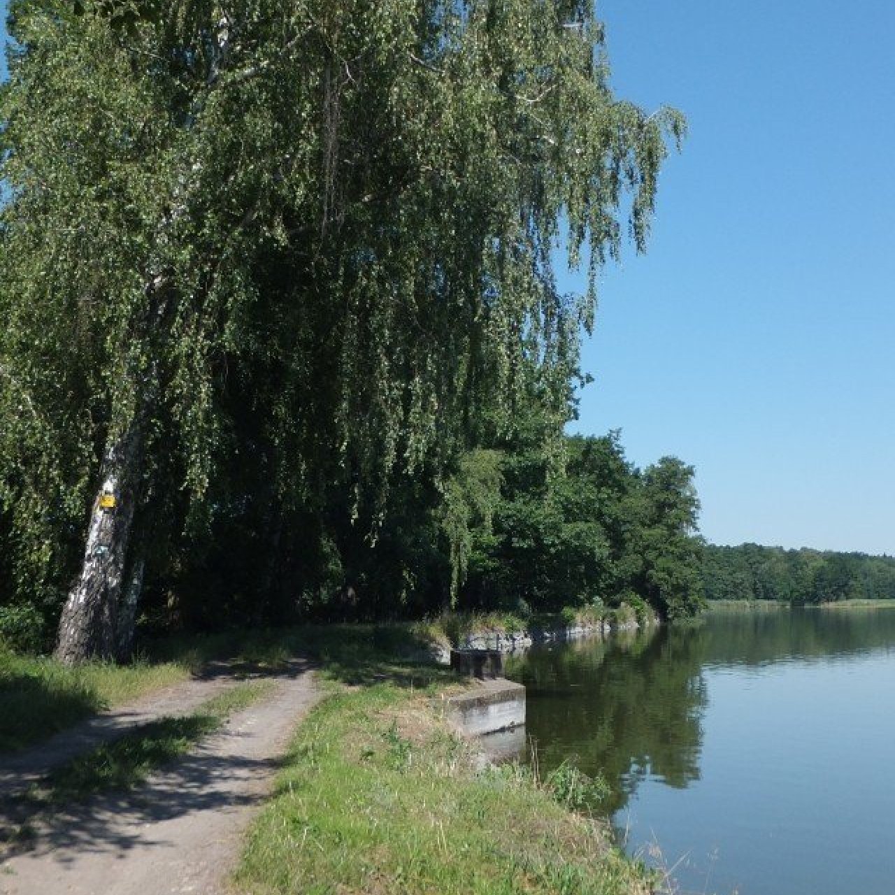 RYBNÍK SKŘÍŇ - NERATOV