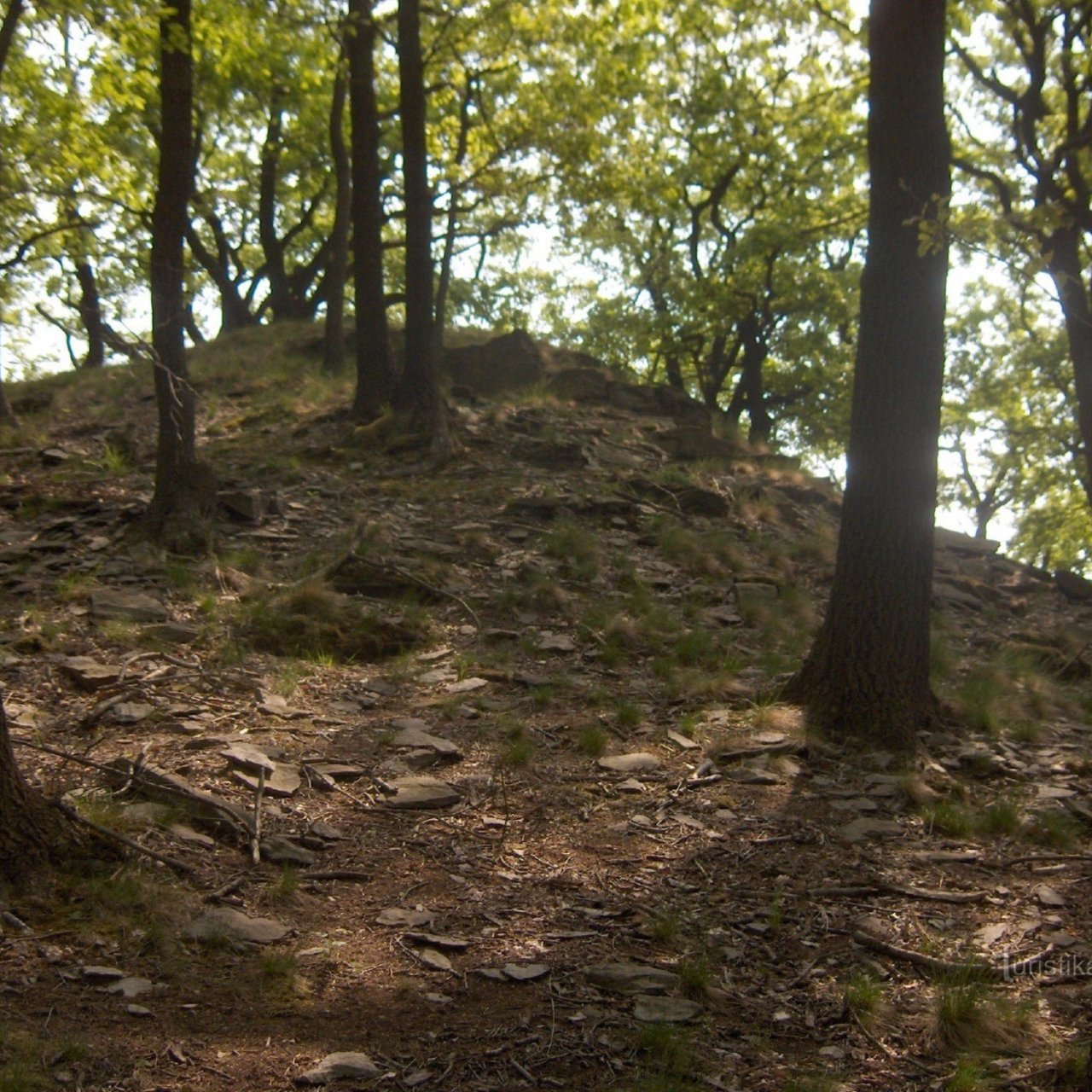 Kybička