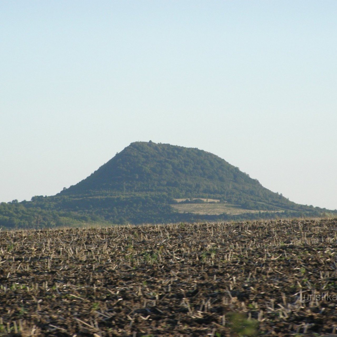 Oblík (České středohoří)