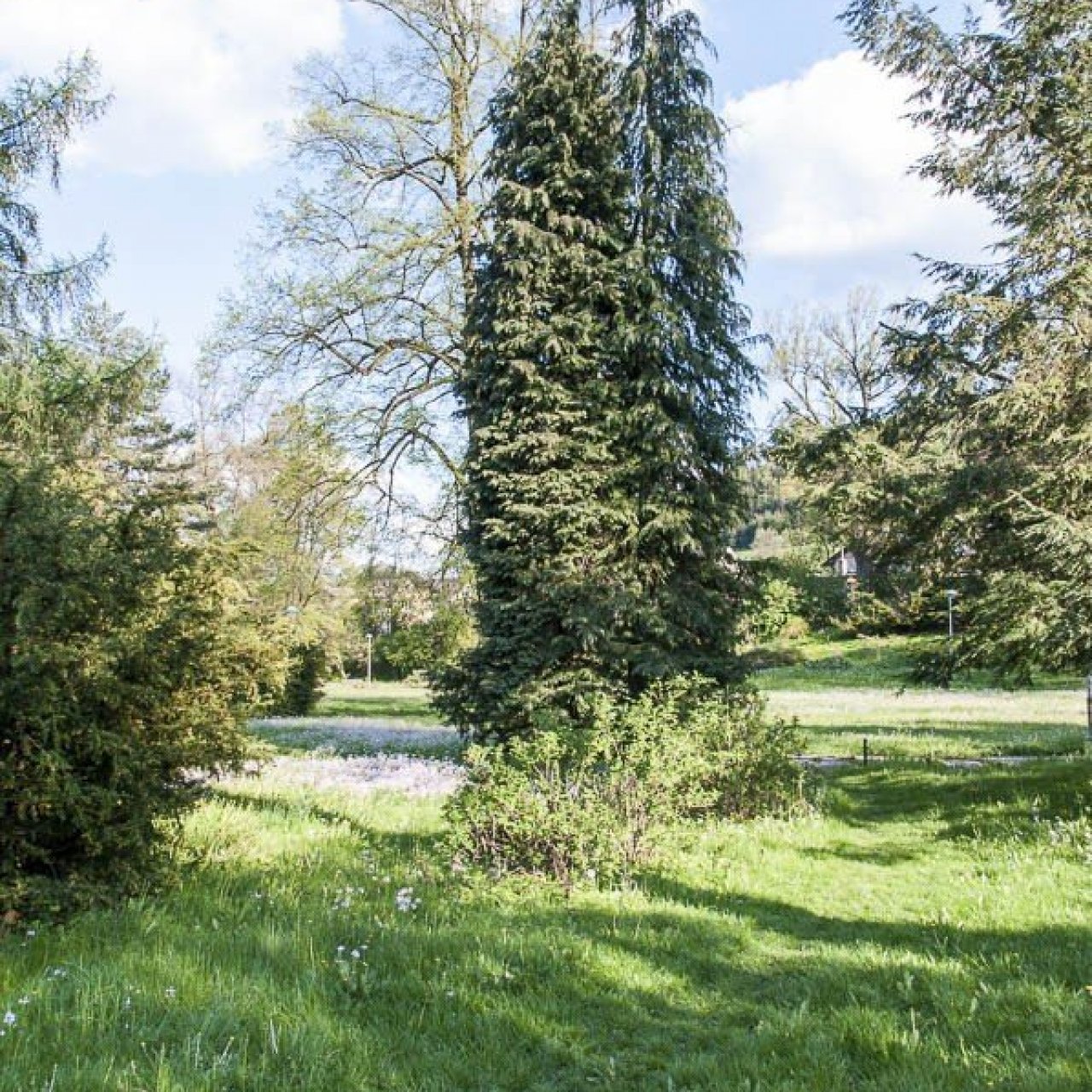 Lipová-lázně – lázeňský park