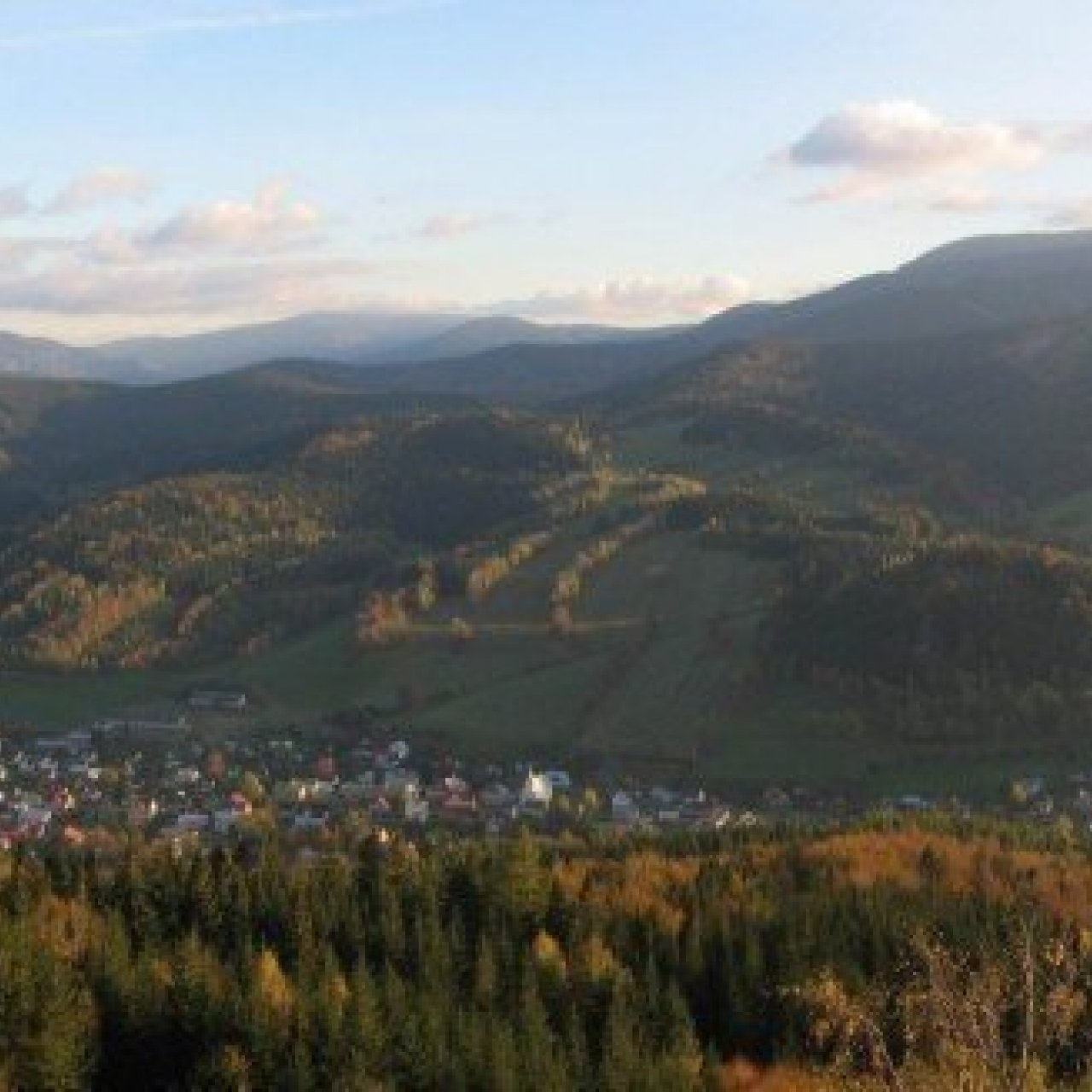 Smrčník