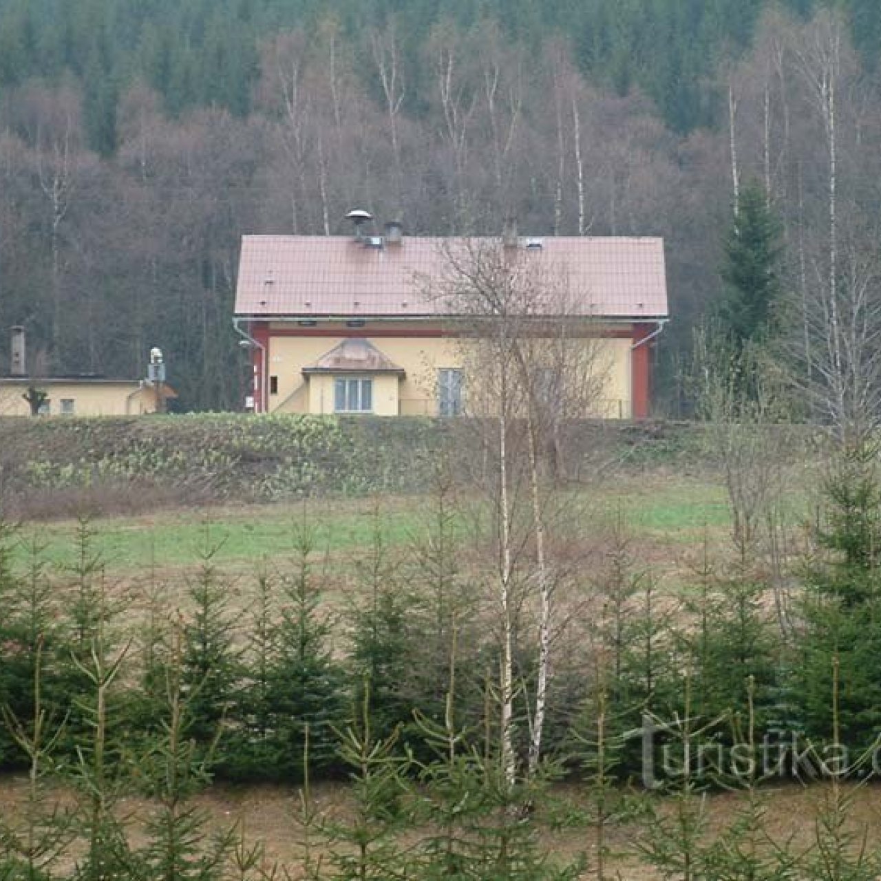 Horní Lipová žst